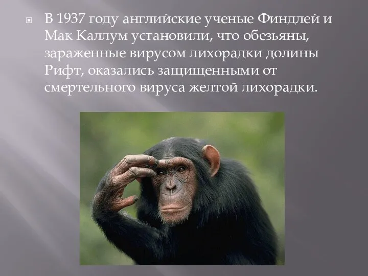 В 1937 году английские ученые Финдлей и Мак Каллум установили, что обезьяны,