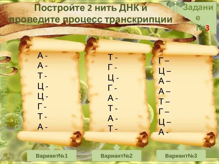 Контрольная работа Задание №3 Вариант№1 Вариант№2 Вариант№3 Постройте 2 нить ДНК и