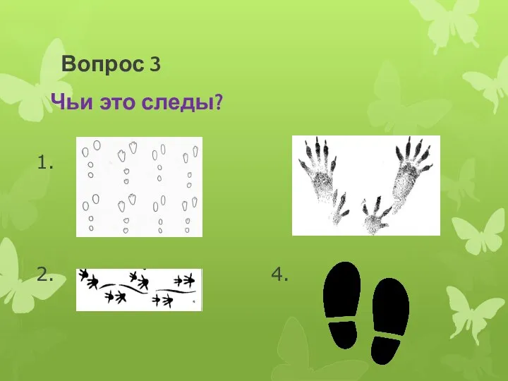 1. 3. 2. 4. Чьи это следы? Вопрос 3