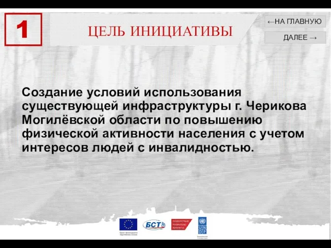 Создание условий использования существующей инфраструктуры г. Черикова Могилёвской области по повышению физической