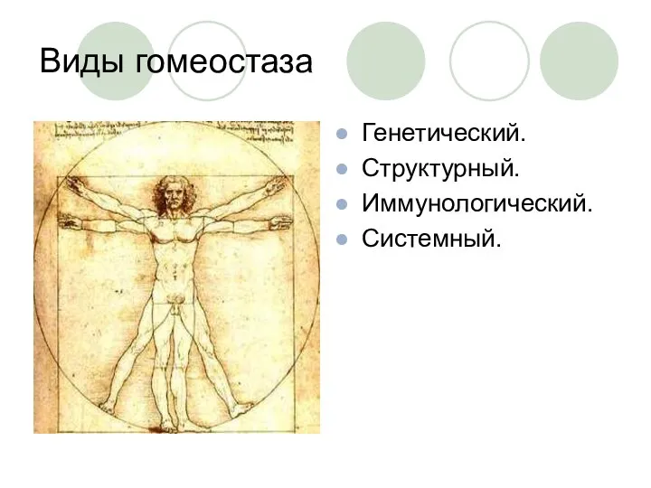 Виды гомеостаза Генетический. Структурный. Иммунологический. Системный.