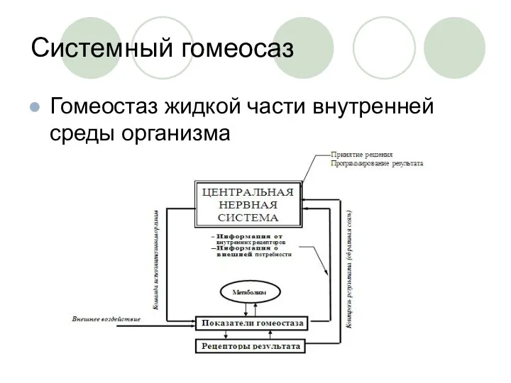 Системный гомеосаз Гомеостаз жидкой части внутренней среды организма