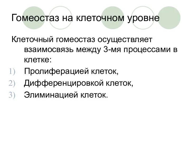 Гомеостаз на клеточном уровне Клеточный гомеостаз осуществляет взаимосвязь между 3-мя процессами в