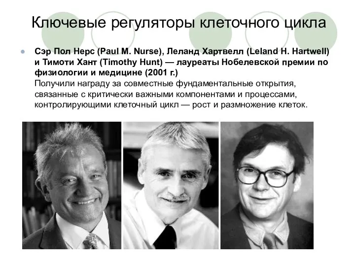 Ключевые регуляторы клеточного цикла Сэр Пол Нерс (Paul M. Nurse), Леланд Хартвелл