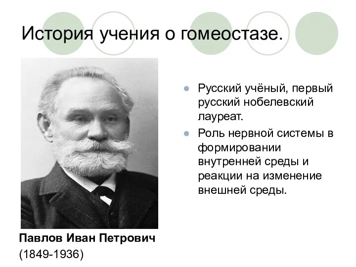 История учения о гомеостазе. Павлов Иван Петрович (1849-1936) Русский учёный, первый русский