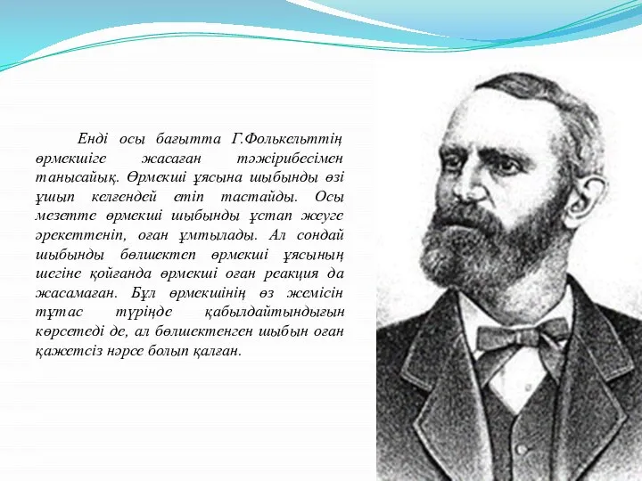 Енді осы бағытта Г.Фолькельттің өрмекшіге жасаған тәжірибесімен танысайық. Өрмекші ұясына шыбынды өзі