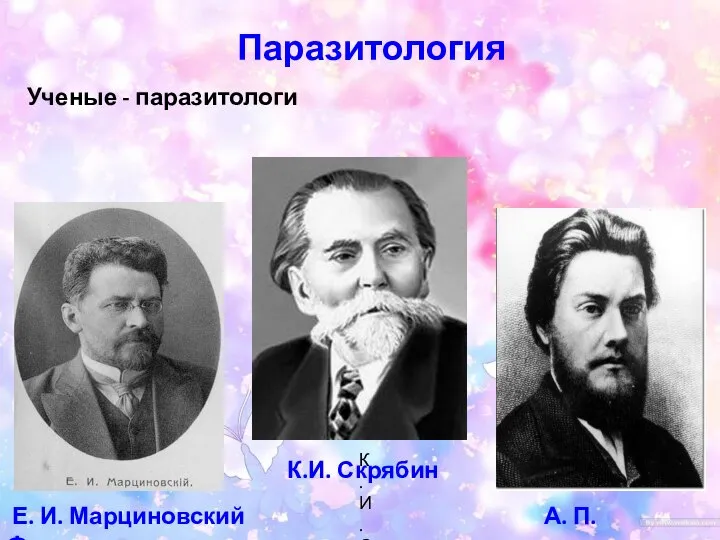 Паразитология Ученые - паразитологи Е. И. Марциновский А. П. Федченко К. И. Скрябин К.И. Скрябин