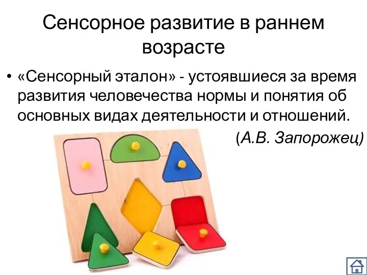 Сенсорное развитие в раннем возрасте «Сенсорный эталон» - устоявшиеся за время развития