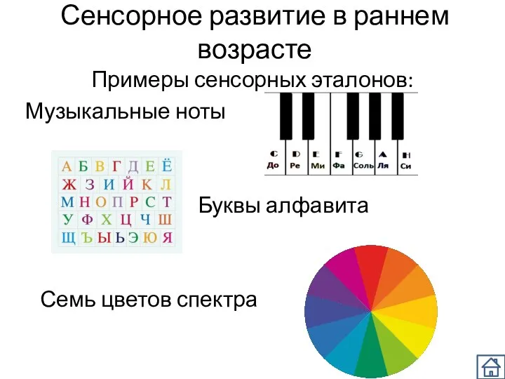 Сенсорное развитие в раннем возрасте Примеры сенсорных эталонов: Музыкальные ноты Буквы алфавита Семь цветов спектра