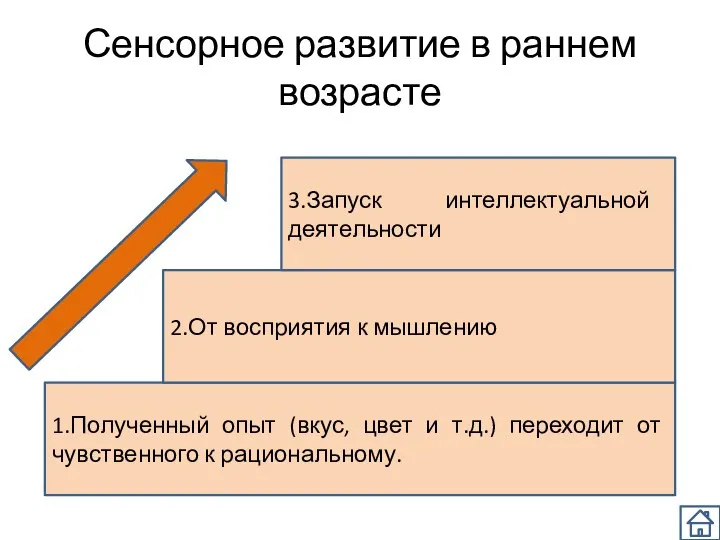 Сенсорное развитие в раннем возрасте 1.Полученный опыт (вкус, цвет и т.д.) переходит