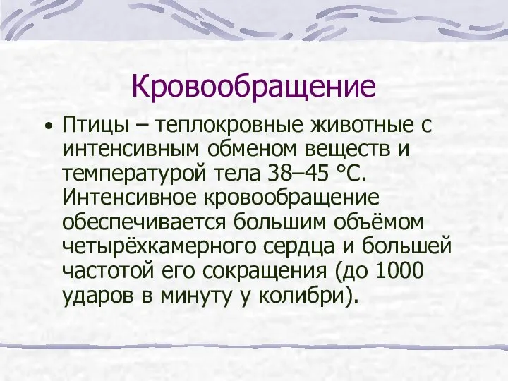 Кровообращение Птицы – теплокровные животные с интенсивным обменом веществ и температурой тела