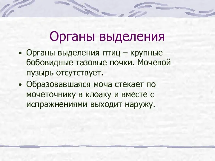 Органы выделения Органы выделения птиц – крупные бобовидные тазовые почки. Мочевой пузырь