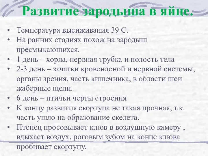 Развитие зародыша в яйце. Температура высиживания 39 С. На ранних стадиях похож