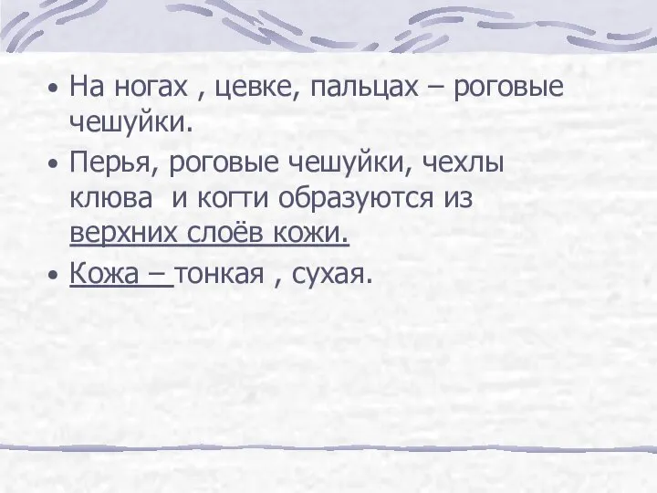 На ногах , цевке, пальцах – роговые чешуйки. Перья, роговые чешуйки, чехлы