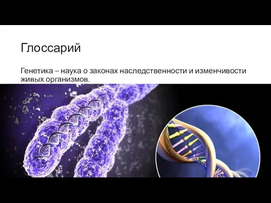 Глоссарий Генетика – наука о законах наследственности и изменчивости живых организмов.