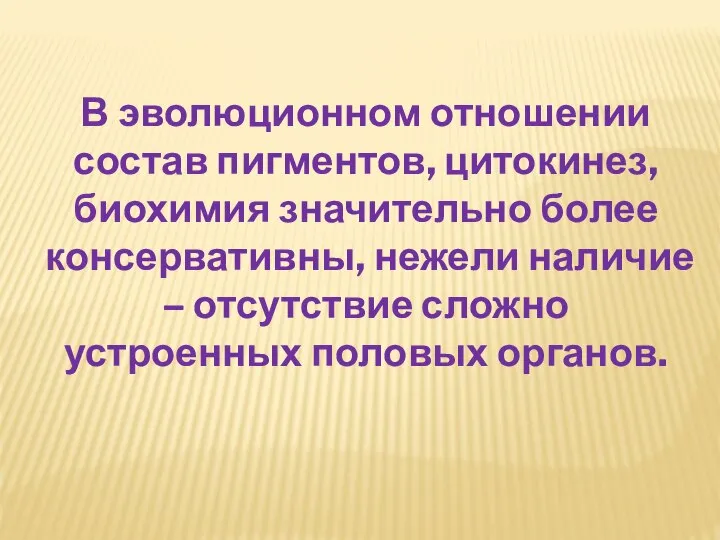 В эволюционном отношении состав пигментов, цитокинез, биохимия значительно более консервативны, нежели наличие