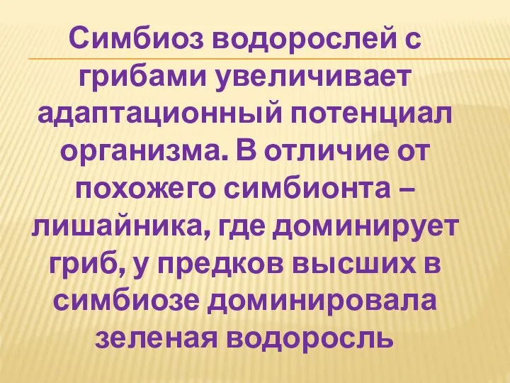 Симбиоз водорослей с грибами увеличивает адаптационный потенциал организма. В отличие от похожего