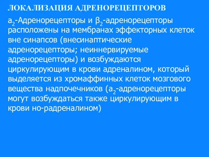 ЛОКАЛИЗАЦИЯ АДРЕНОРЕЦЕПТОРОВ а2-Адренорецепторы и β2-адренорецепторы расположены на мем­бранах эффекторных клеток вне синапсов