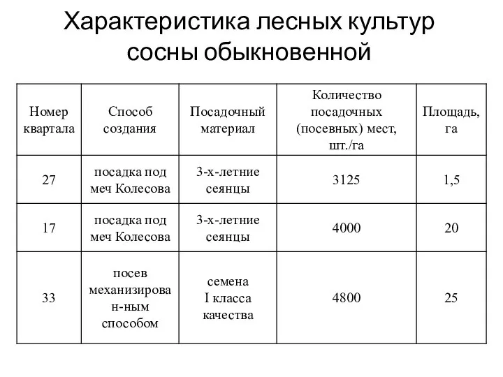 Характеристика лесных культур сосны обыкновенной