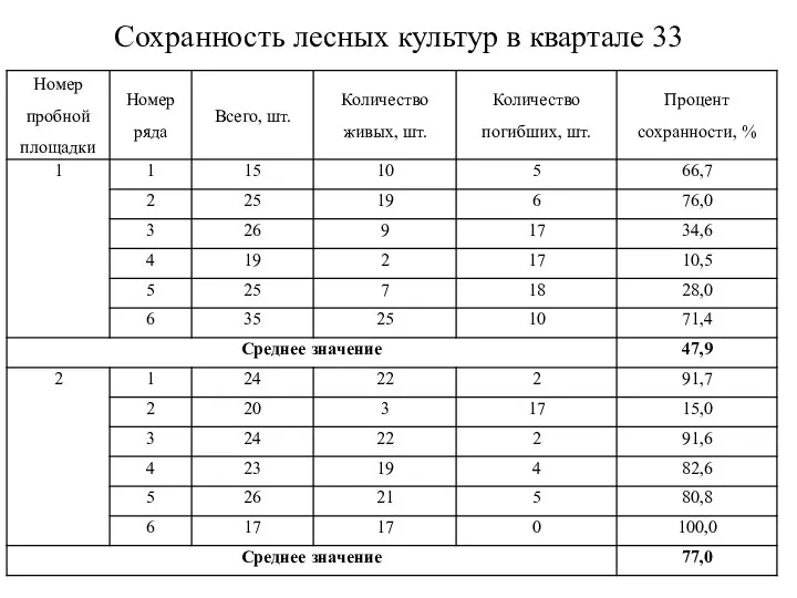 Сохранность лесных культур в квартале 33