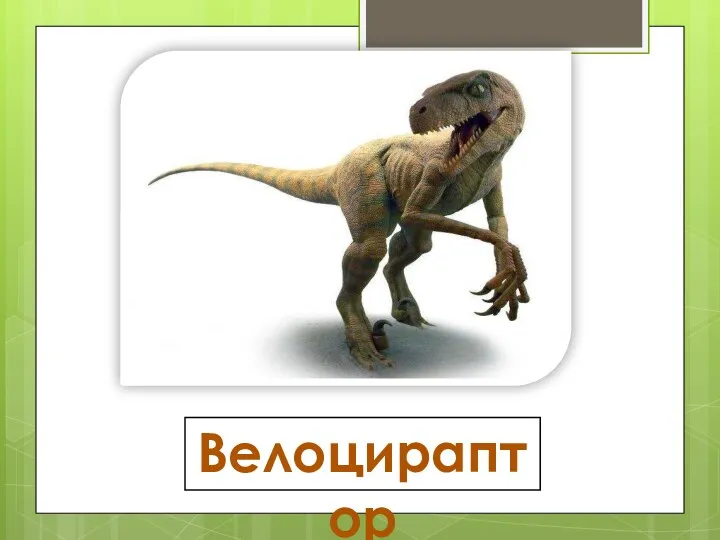 Велоцираптор