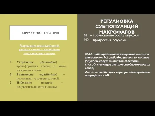 ИММУННАЯ ТЕРАПИЯ Разрушение взаимодействий раковых клеток с иммунными компонентами стромы. Устранение (elimination)