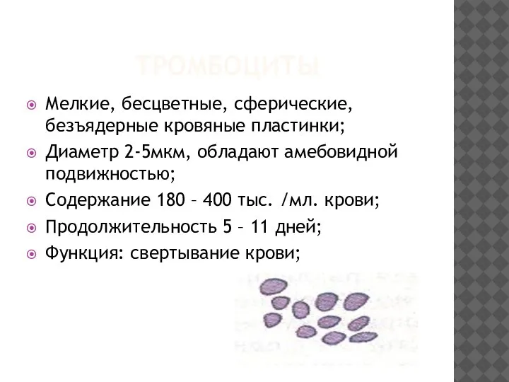 ТРОМБОЦИТЫ Мелкие, бесцветные, сферические, безъядерные кровяные пластинки; Диаметр 2-5мкм, обладают амебовидной подвижностью;