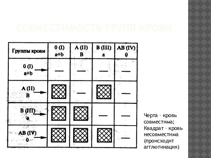 СОВМЕСТИМОСТЬ ГРУПП КРОВИ Черта – кровь совместима; Квадрат – кровь несовместима (происходит агглютинация)