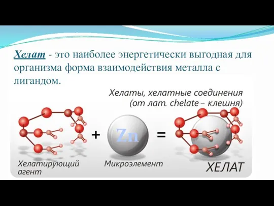 Хелат - это наиболее энергетически выгодная для организма форма взаимодействия металла с лигандом. Zn