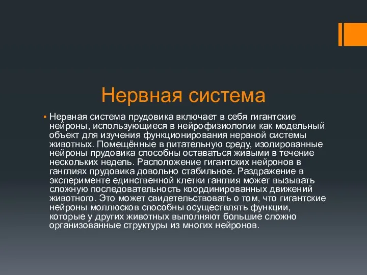 Нервная система Нервная система прудовика включает в себя гигантские нейроны, использующиеся в