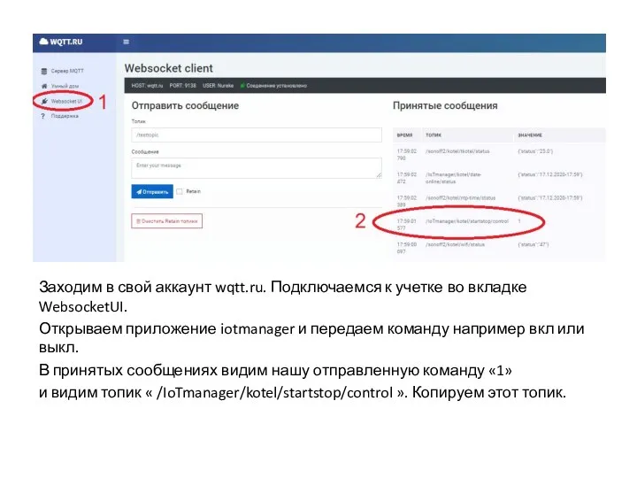 Заходим в свой аккаунт wqtt.ru. Подключаемся к учетке во вкладке WebsocketUI. Открываем