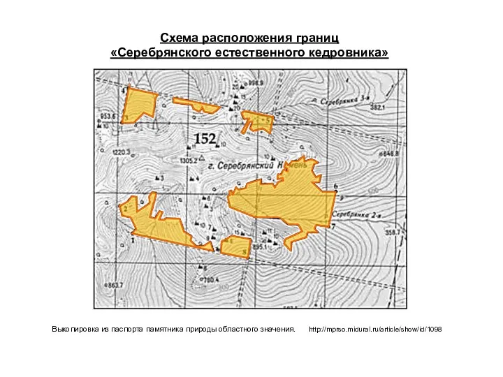 Схема расположения границ «Серебрянского естественного кедровника» Выкопировка из паспорта памятника природы областного значения. http://mprso.midural.ru/article/show/id/1098