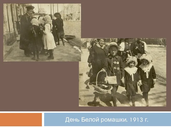 День Белой ромашки. 1913 г.