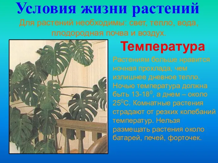 Условия жизни растений Для растений необходимы: свет, тепло, вода, плодородная почва и