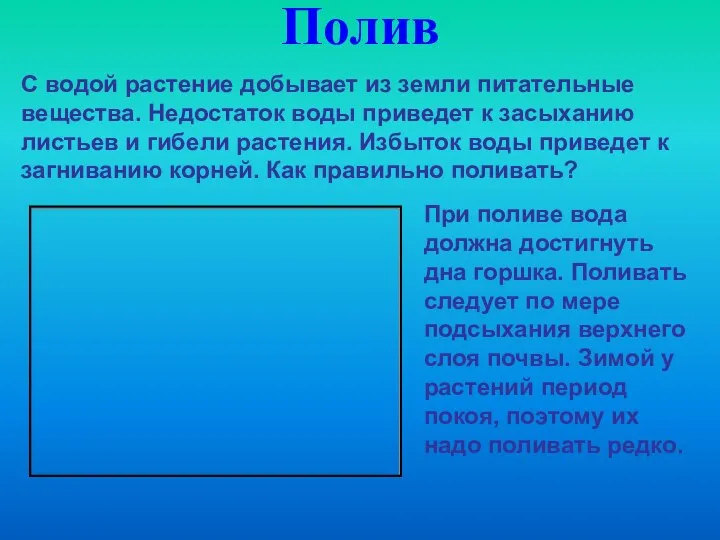 Полив С водой растение добывает из земли питательные вещества. Недостаток воды приведет