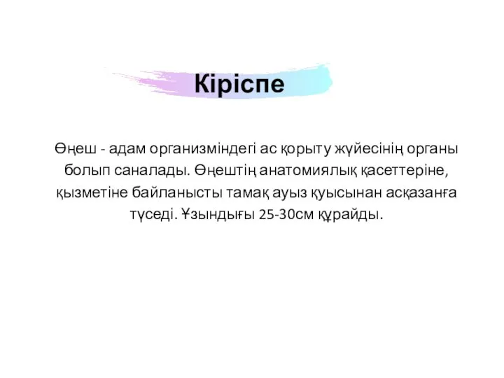 Өңеш - адам организміндегі ас қорыту жүйесінің органы болып саналады. Өңештің анатомиялық