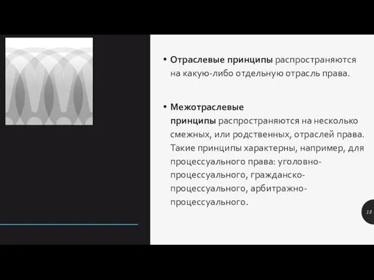 Отраслевые принципы распространяются на какую-либо отдельную отрасль права. Межотраслевые принципы распространяются на