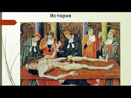 История