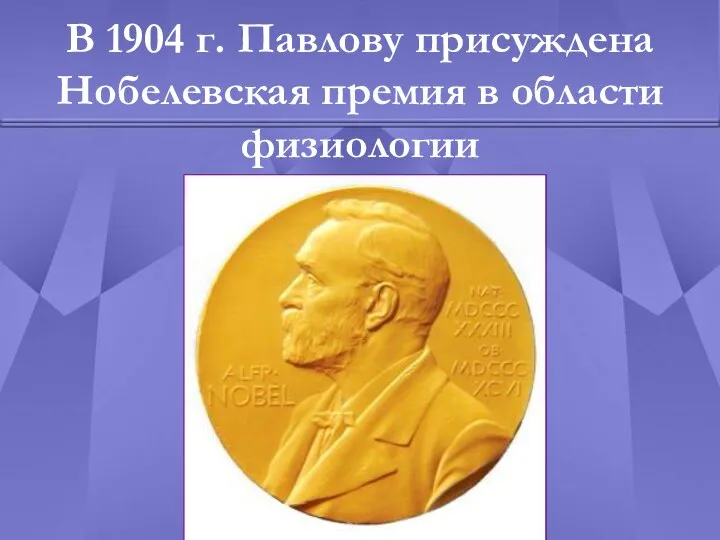 В 1904 г. Павлову присуждена Нобелевская премия в области физиологии
