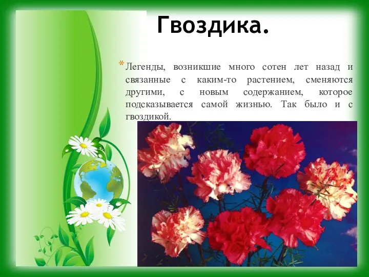 Гвоздика. Легенды, возникшие много сотен лет назад и связанные с каким-то растением,