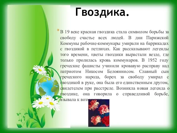 Гвоздика. В 19 веке красная гвоздика стала символом борьбы за свободу счастье