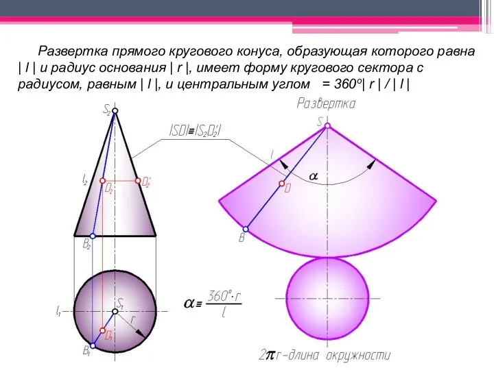 Развертка прямого кругового конуса, образующая которого равна | l | и радиус