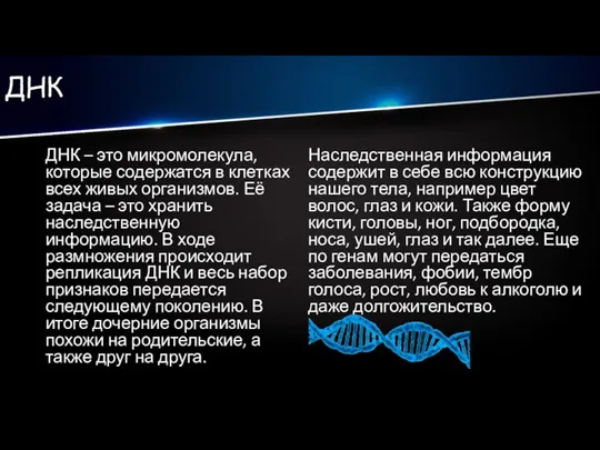 ДНК ДНК – это микромолекула, которые содержатся в клетках всех живых организмов.