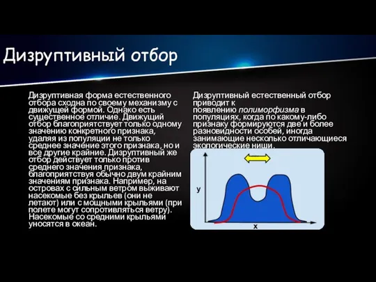 Дизруптивный отбор Дизруптивная форма естественного отбора сходна по своему механизму с движущей