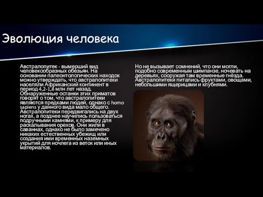 Эволюция человека Австралопитек - вымерший вид человекообразных обезьян. На основании палеонтологических находок