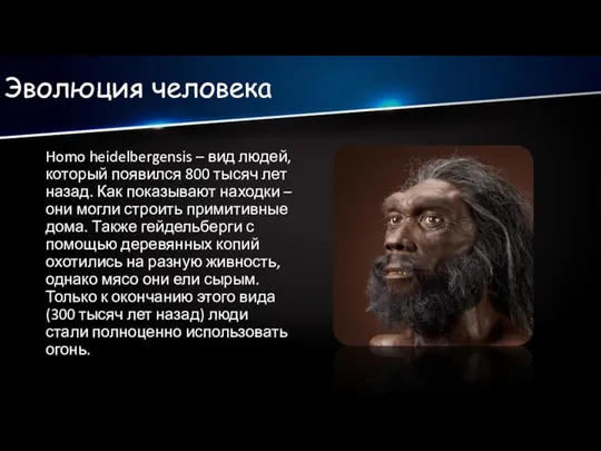 Эволюция человека Homo heidelbergensis – вид людей, который появился 800 тысяч лет
