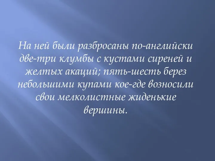 На ней были разбросаны по-английски две-три клумбы с кустами сиреней и желтых