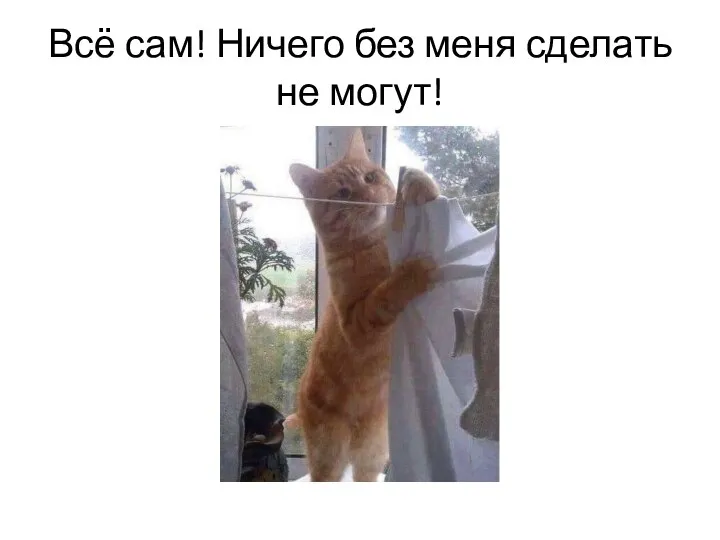 Всё сам! Ничего без меня сделать не могут!