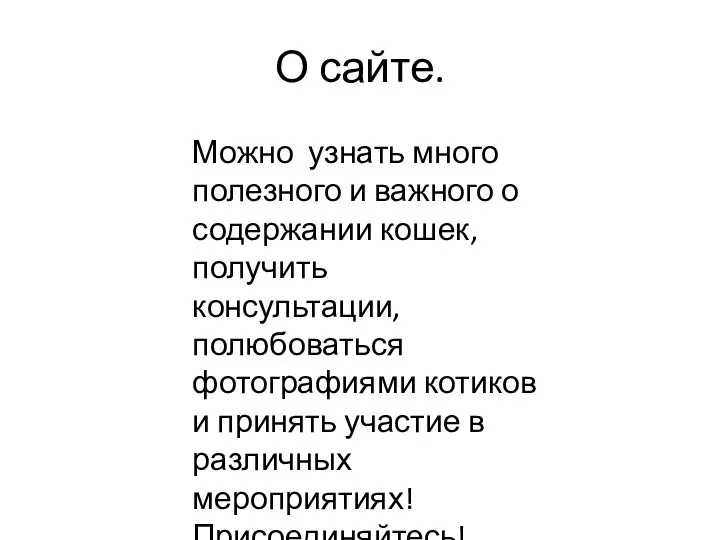 О сайте. Можно узнать много полезного и важного о содержании кошек, получить