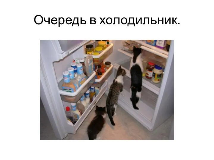 Очередь в холодильник.